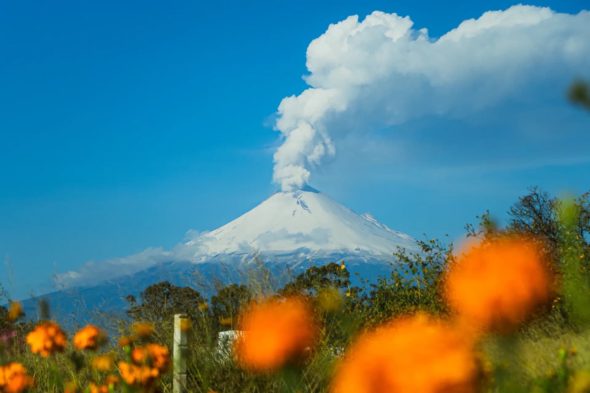 MEXICO